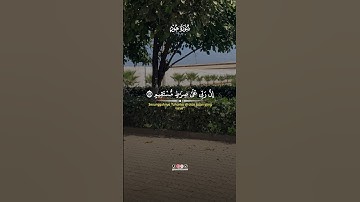 تلاوة قرآن كريم خاشعة تريح الاعصاب