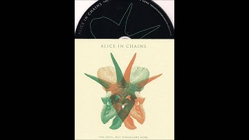 Alice in Chains - The Devil Put Dinosaurs Here