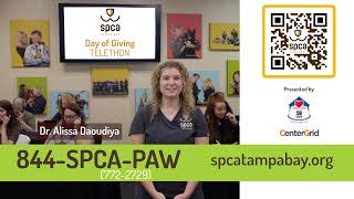 Pet Hospital Helps Animals and People in Need | SPCA Tampa Bay Day of Giving
