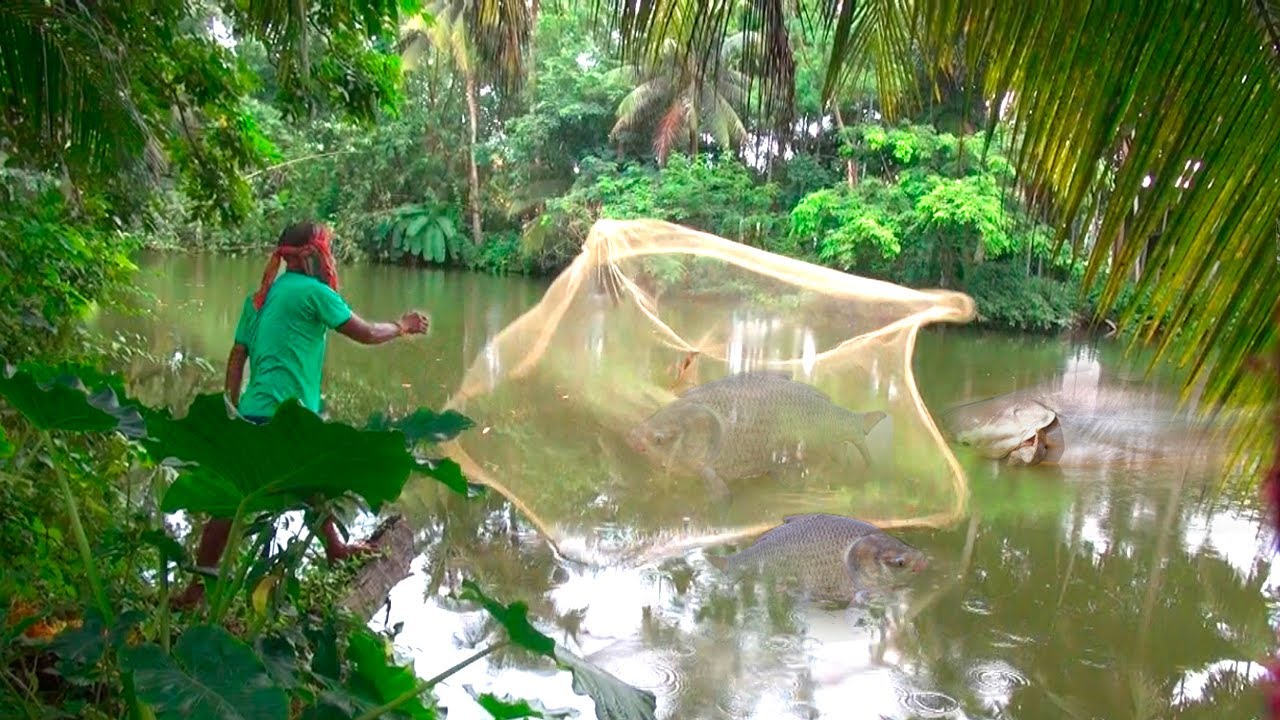 Best Net Fishing india ll Village Fishing ll Big Katla Caching ll 