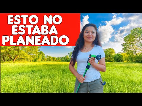 ¡Fabiola Tiene una