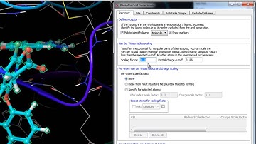 Receptor Grid Generation - Van der Waals Radius and Charge Scaling