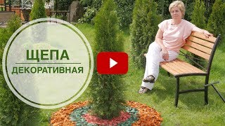 Щепа декоративная ➡ Где применить? 🌟 Ландшафтный дизайн сада своими руками от hitsadTV