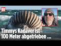 ANHOLT: Toter Wal Timmy treibt 100 Meter ab – Bergung wegen Sturm weiter unklar