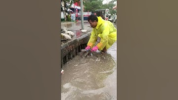 Cleaning Plastic Dirty Unclog Drain #plastic #real #shorts #satisfying #remove #unclog #rain #flood
