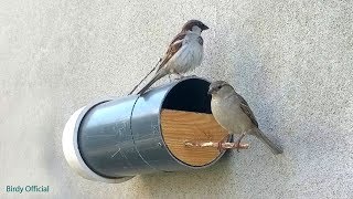 Bird House - How To Build A DIY Birdhouse Using PVC Pipe