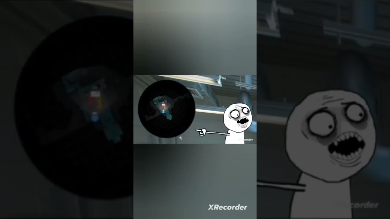 Смешной момент мармока @marmok 