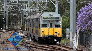Transport for NSW Vlog No.1111 Westmead part 2