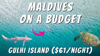 MALDIVES ON A BUDGET | Gulhi Island $61/Night | Snorkeling, Diving, Drone, & More!