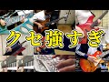 【第2回】ぴんはげとコラボして頂いた人達、最高です。これだから音楽は止められません。