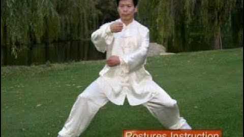 Chen Style   Cannon Fist   Front View   Jesse Tsao