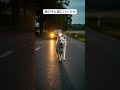 愛犬が最後に教えてくれた大切なこと