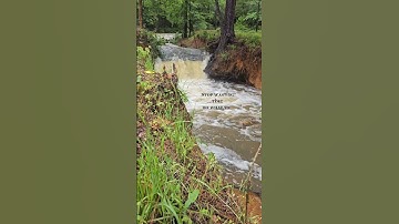 #algorithm #followforfollowback #views_viral_video_subscribers_grow #reels #viral