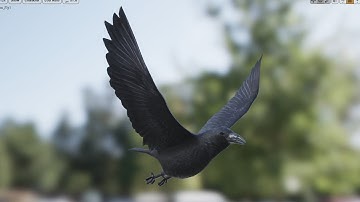 Medhue Raven for sale in Unreal Engine!!!