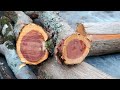 Woodturning Log into a natural edge bowl!! 【木工旋盤】職人技で丸太から器を作る！