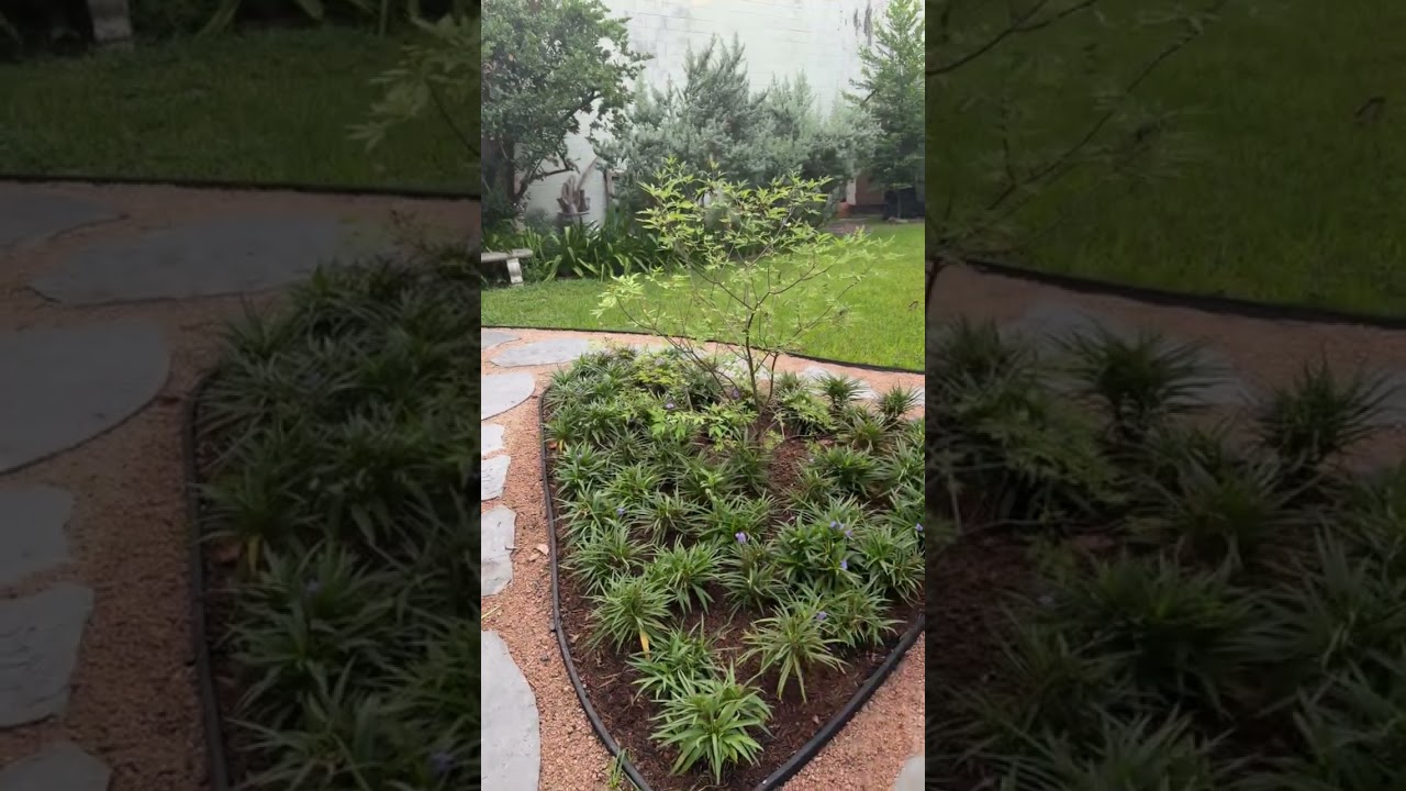 Vlog With Zach! Check in on Completed Project! 