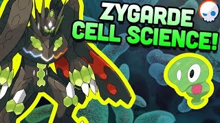 Pokemon Science: Zygarde's Cells! | Gnoggin