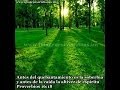BIBLIA HABLADA(SALMOS DE DAVID) COMPLETO Y EN CASTELLANO VERSION REINA VALERA
