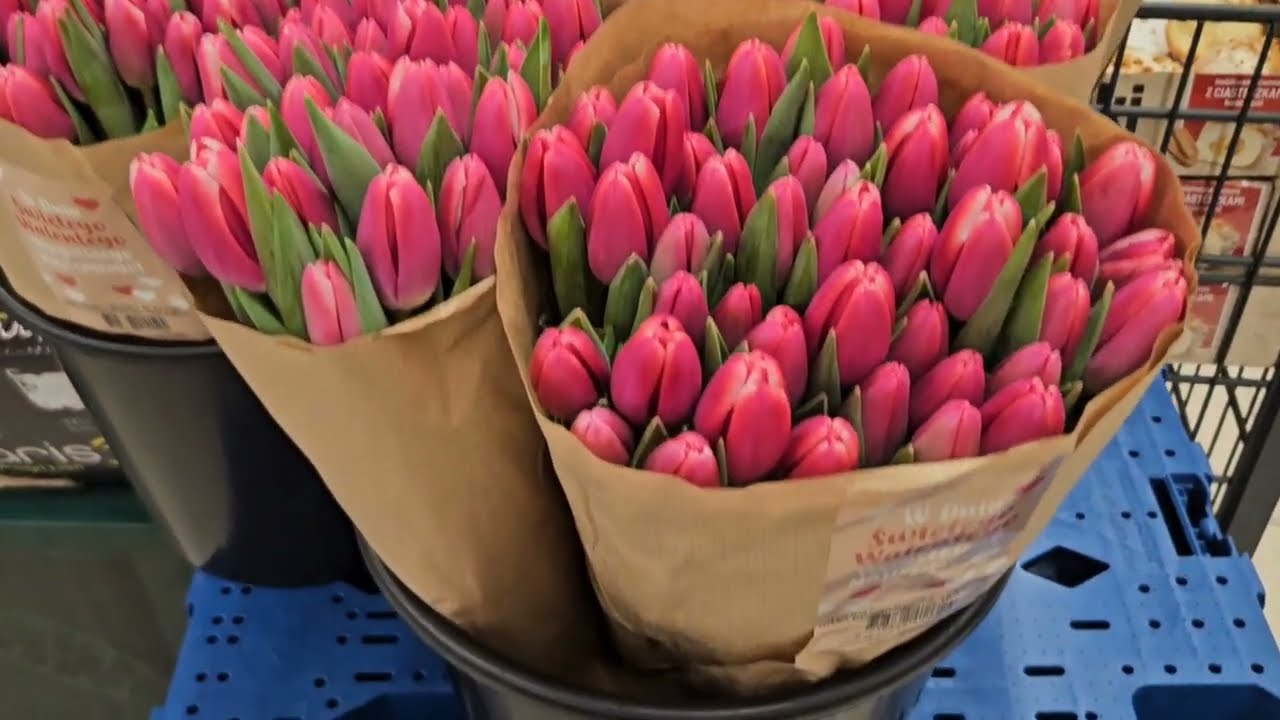 🔥ЖИРНЫЙ ЧЕТВЕРГ! ПОНЧИКИ БЕСПЛАТНО! ЦВЕТЫ ПО ДОСТУПНЫМ ЦЕНАМ! ЧАЙ МАТЕ! ДЕГУСТАЦИЯ 