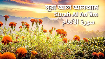 06.সূরা আল আনআম Surah Al An 'Am (سورة الأنعام) | Qari Shakir Qasmi | The Holy Quran in Bangla !
