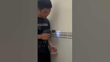 Các gở tắc kê ra khỏi tường #luatraon