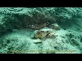 Ballade dans St Elmo Bay YT