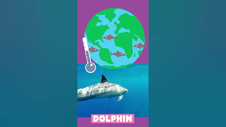 Animal Alphabet | D is for Dolphin | PBS KIDS #Shorts