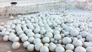 Watchthousands Of Giant Three Foot Snowballs Appear On Russian Beach