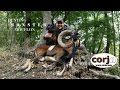 Hunting monster mouflon with Corju Hunting