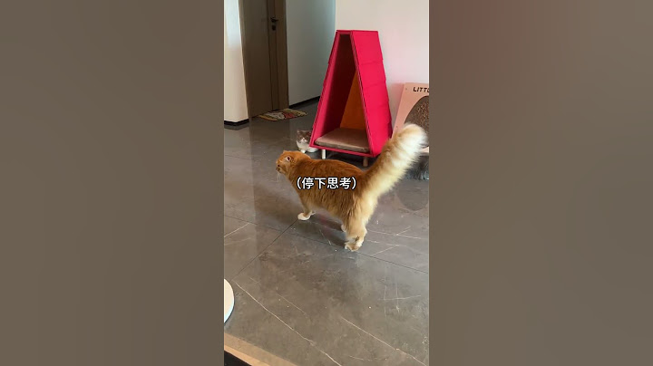 晚了点给他开罐罐就生气走人了 #谁能拒绝得了这么可爱的小猫咪呢 #小猫可以治愈一切 #茶茶很爱叫