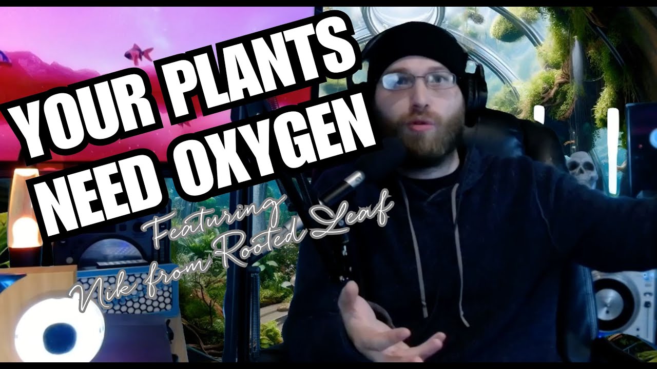 ⚡Plants Cast Lightning Bolts to SPLIT Water, Feat. Nik