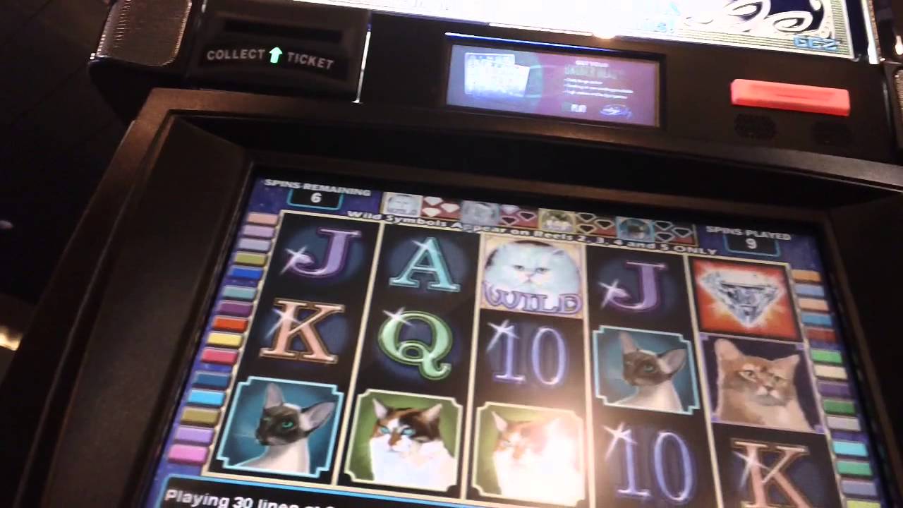 Zodiac sisters slot machine online