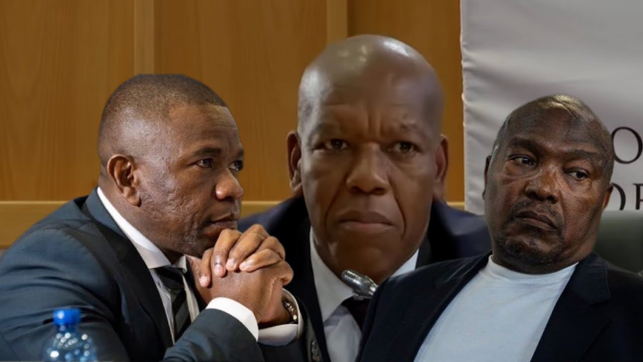 [WATCH] Lt Gen Mbotho says he only found out the address he shared was ...