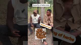 BENEFITS OF BITTER KOLA.           #reels  #alternativemedicine  #naturalmedicine #naturalremedy