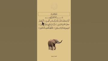 سورة الفيل !!! هزاع البلوشي #قران_كريم #قرآن