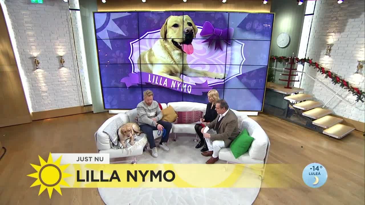 Hunden lilla Nymo