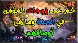 كم عدد زوجات المؤمن في الجنة من نساء الدنيا ومن الحور العين وما هى اوصافهم وكيف سيجامعهم جواب مذهل