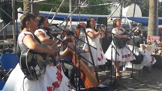 Video-Miniaturansicht von „LAS PITUKAS DE TEMUCO - POR UN TE QUIERO“