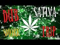 Sativa tripping dub music  cosmic journey deep into your mind 432hz