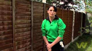 How to Paint a Wooden Fence