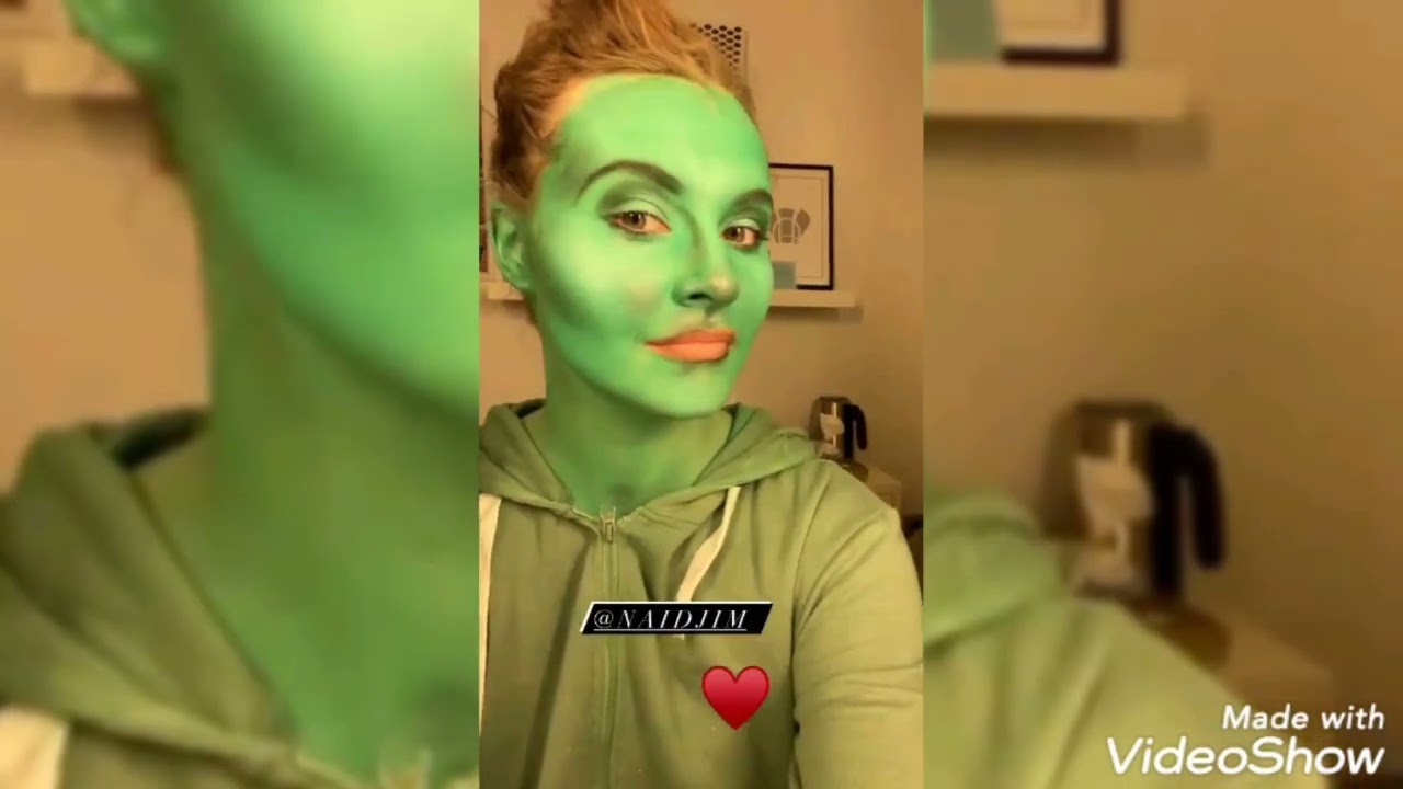 Het doek is gevallen  Wicked  de musical met Vajèn van den Bosch als  Elphaba!