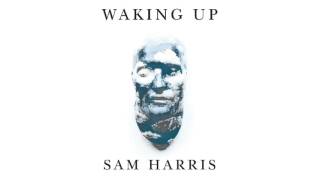 Sam Harris on Capitalism, Labor-for-Income and the ultimate labor saving device