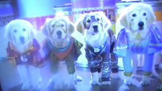 Super Buddies Super Puppies Vs Robbers Scene