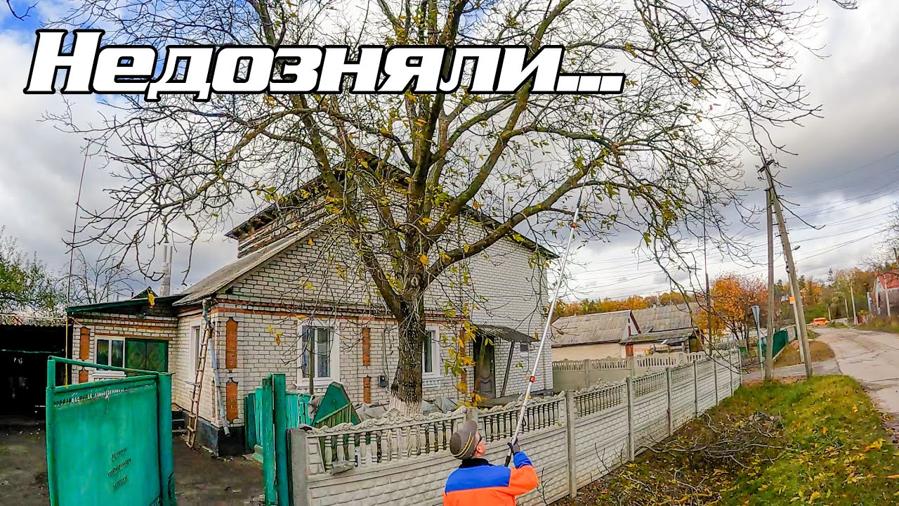 Ріжемо горіх біля приватного будинку