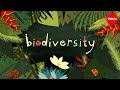 The Weave of Life: Exploring Ecosystem Strength and Biodiversity