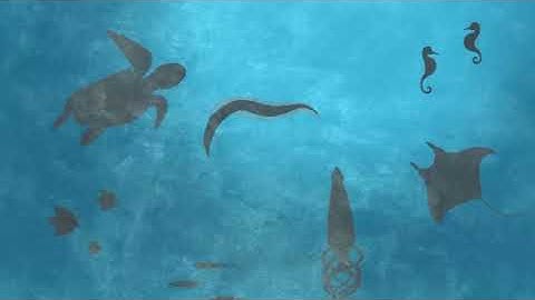 Why is biodiversity so important? - Kim Preshoff