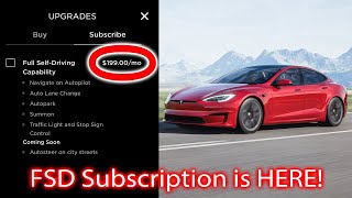 FSD Subscription FINALLY! Cybertruck Updates! Weekly Tesla News Update.