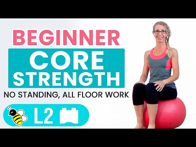 BEGINNER CORE  15 Minute STABILITY BALL Workout for BEGINNERS 