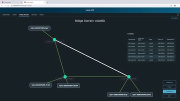 contiv vpp demo video