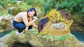 Two incredible oysters guard the oversized pearls! Multi layer protection is very difficult to open